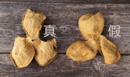染色陈皮爆料方法视频,视频教你轻松识别真假陈皮